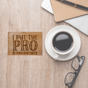 PRO In procrastinate - Unicorn Fart Productions